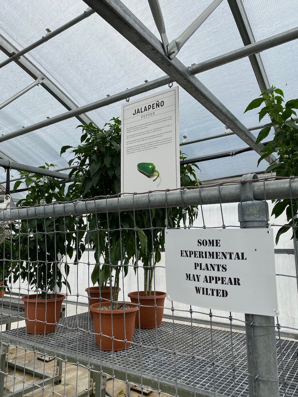 avery-island-la-breeding-facility-03