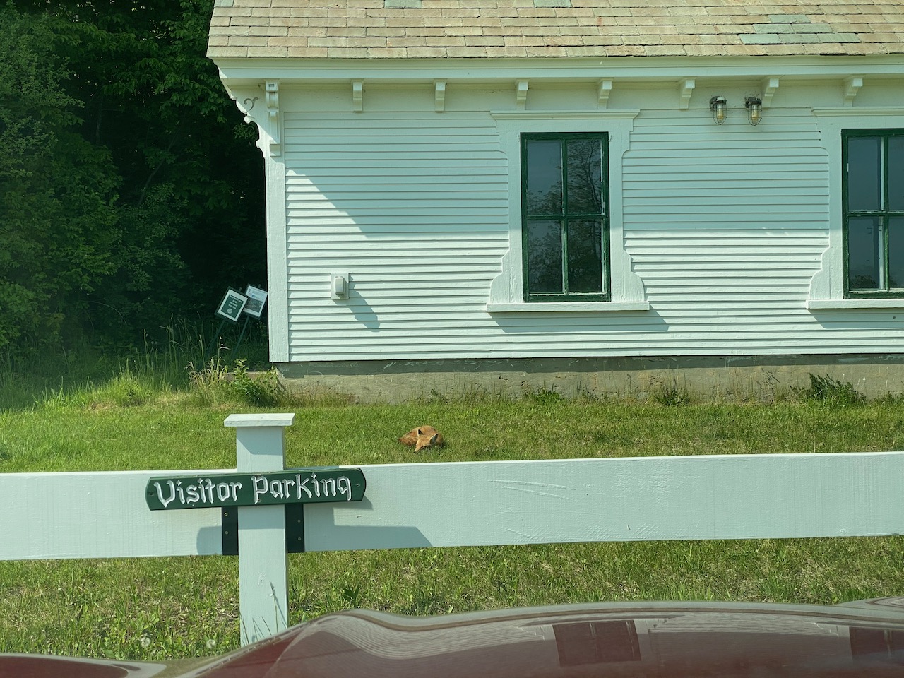 vermont - fox morgan horse farm 01.jpeg