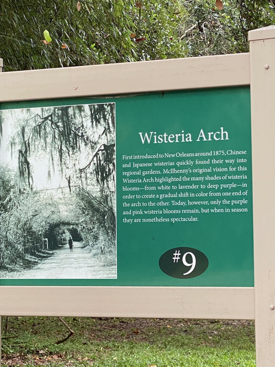 avery-island-la-wisteria-arch-02